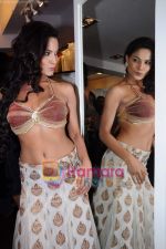 Veena Malik backless photo shoot at Riyaz Ganji store in Juhu, Mumbai on 19th April 2011 (49).JPG